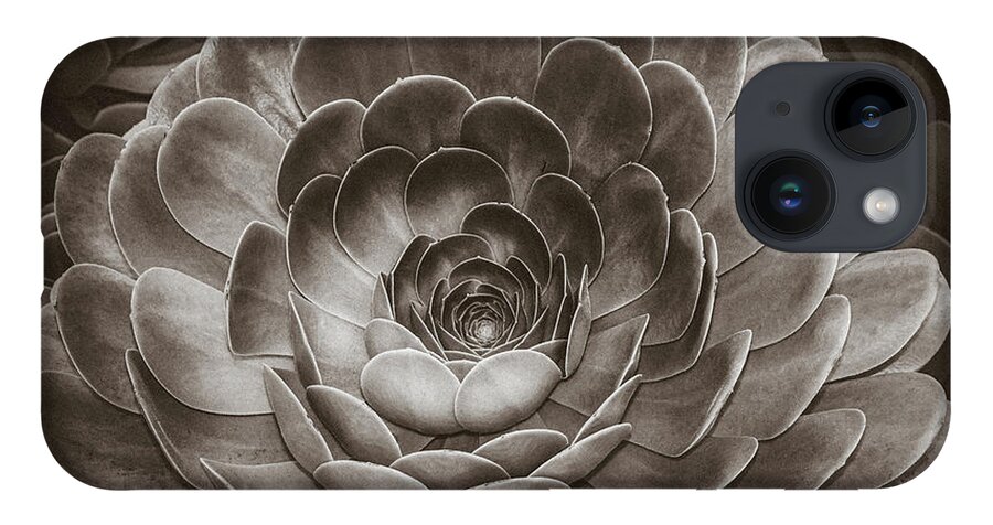 Zen iPhone 14 Case featuring the photograph Santa Barbara Succulent#16 by Jennifer Wright