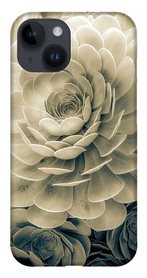 Zen iPhone 14 Case featuring the photograph Santa Barbara Succulent#19 by Jennifer Wright