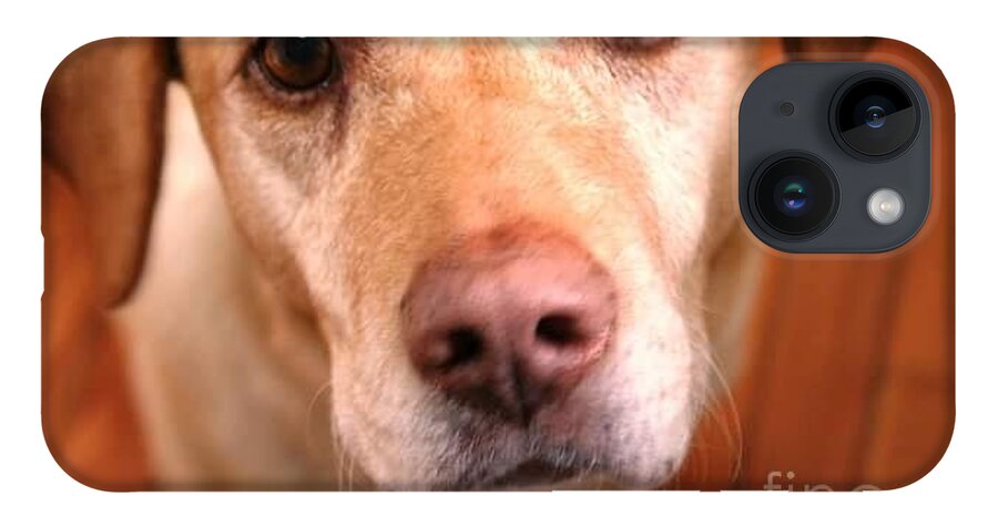 Canine iPhone Case featuring the photograph Say What? by Harvest Moon Photography By Cheryl Ellis