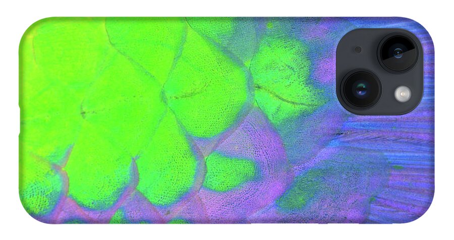 Parrotfish iPhone 14 Case featuring the photograph Scales in green and purple by Artesub