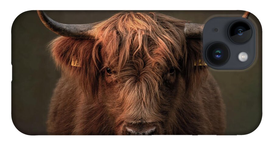Scottish Highlander iPhone 14 Case featuring the digital art Scottish Highlander Portrait in brown by Marjolein Van Middelkoop