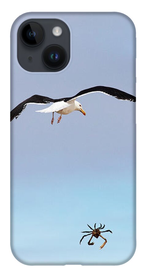 Seagull iPhone 14 Case featuring the photograph Seagull Seafood Dinner by Michael Gerbino