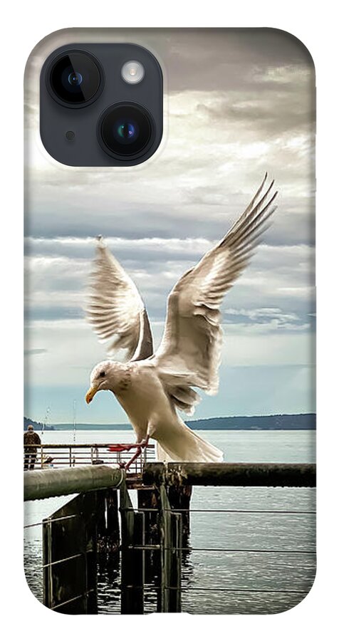 Seabird iPhone 14 Case featuring the photograph Seagull's landing by Anamar Pictures