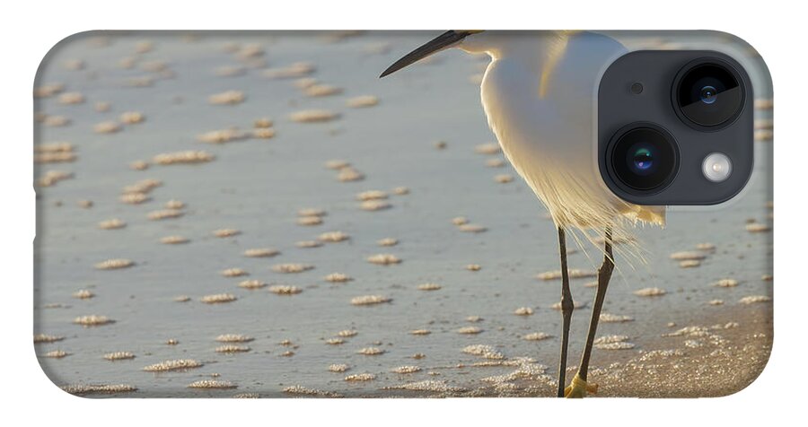 Egret iPhone 14 Case featuring the photograph Seaside Stroll by RD Allen