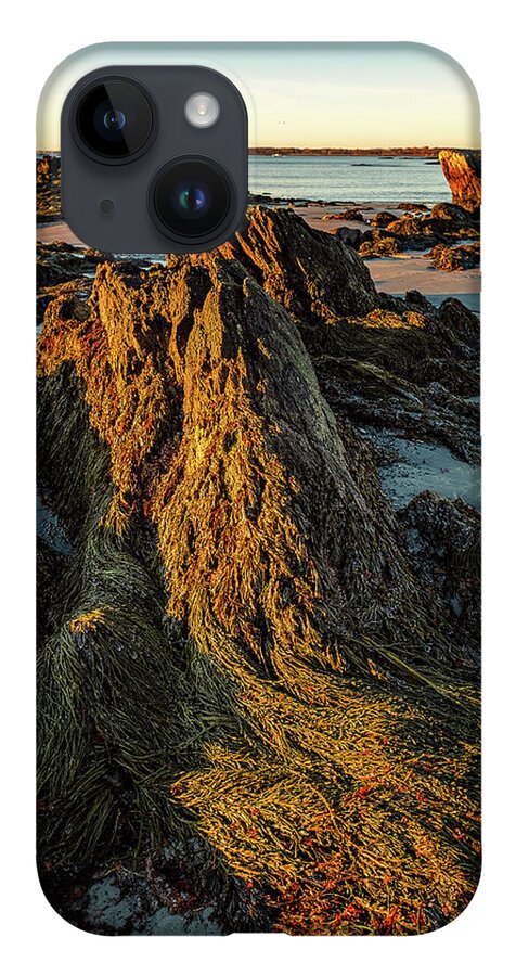 New Hampshire iPhone 14 Case featuring the photograph Seaweed Over Rocks At Low Tide, Fort Foster. by Jeff Sinon