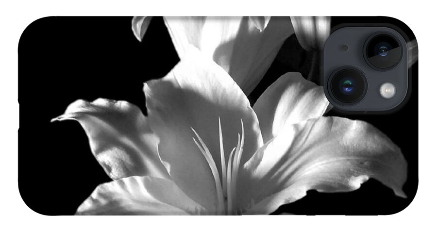 Sectracular iPhone 14 Case featuring the photograph Sectracular Black and White Lily Flower for Prints by Delynn Addams