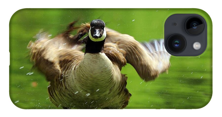Canada Goose iPhone 14 Case featuring the photograph Shake It Off by Kimberly Furey