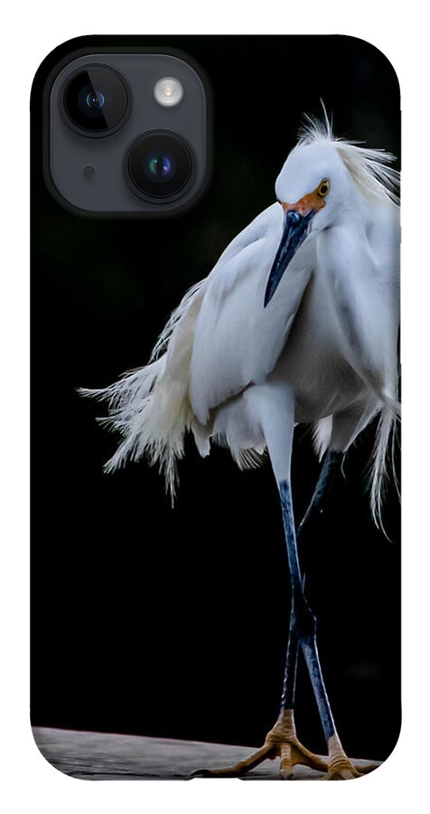 Bird iPhone 14 Case featuring the photograph Shall We Dance by Shara Abel
