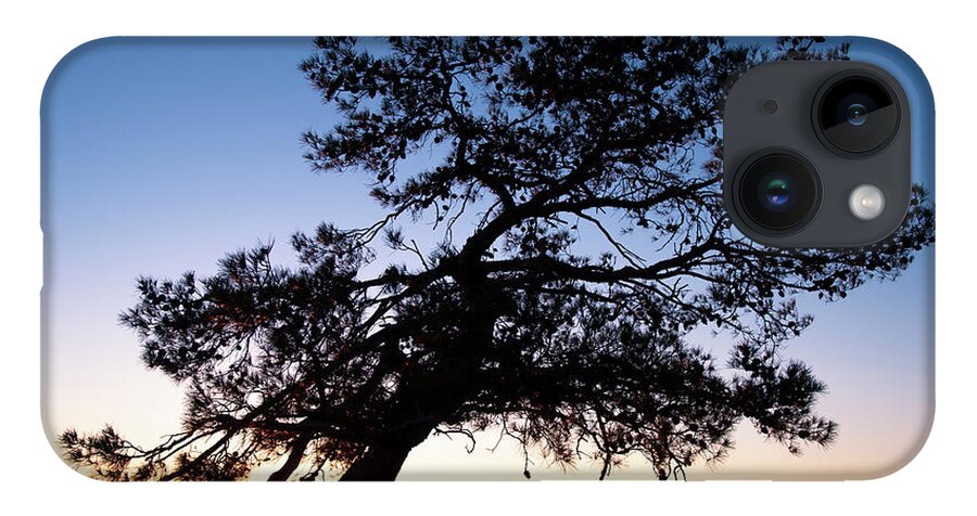 Cyprus iPhone 14 Case featuring the photograph Silhouette of a forest pine tree during blue hour with bright sun at sunset. by Michalakis Ppalis