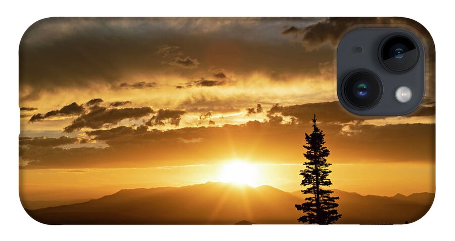 Sunset iPhone 14 Case featuring the photograph Single Tree Sunset by Wesley Aston