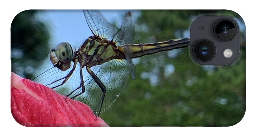Dragonfly iPhone 14 Case featuring the photograph Skimmer On Target by Catherine Wilson