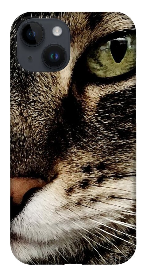 Brown Tabby iPhone 14 Case featuring the photograph Skittles by Wendy Golden