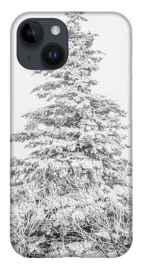 Single iPhone 14 Case featuring the photograph Snow covered by Stacy Abbott
