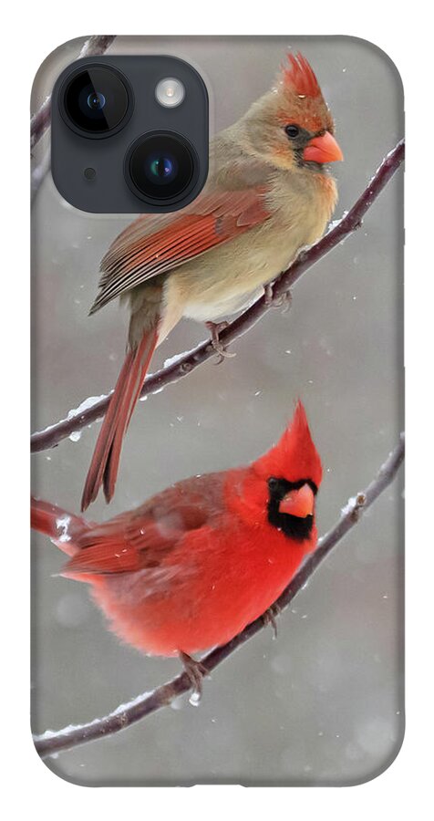 Snow iPhone Case featuring the photograph Snow Day by Mindy Musick King