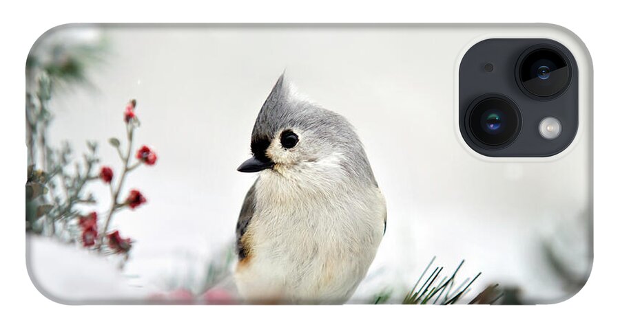 Birds iPhone 14 Case featuring the photograph Snow White Tufted Titmouse by Christina Rollo