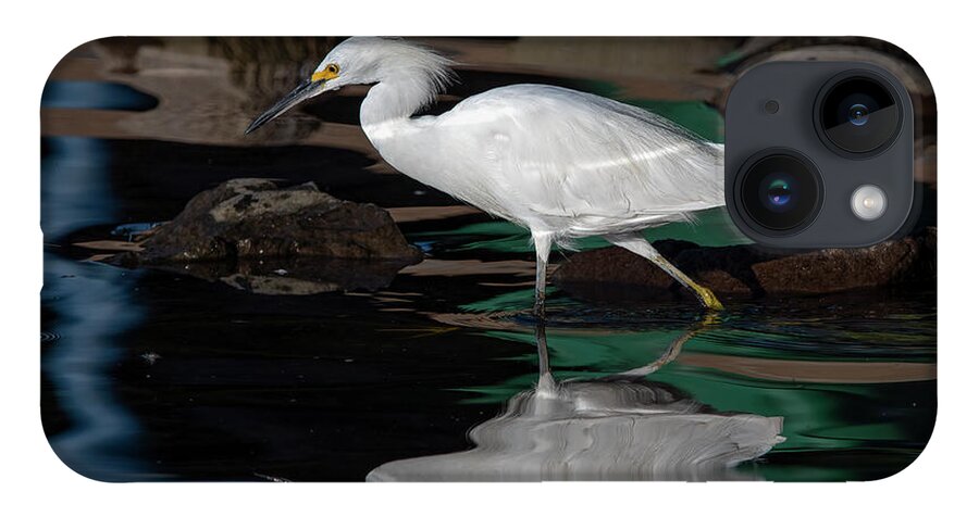 Snowy Egret iPhone 14 Case featuring the photograph Snowy Egret 2 by Rick Mosher