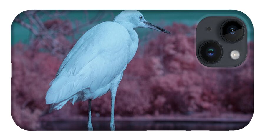 Bird iPhone 14 Case featuring the photograph Snowy Egret by Carolyn Hutchins