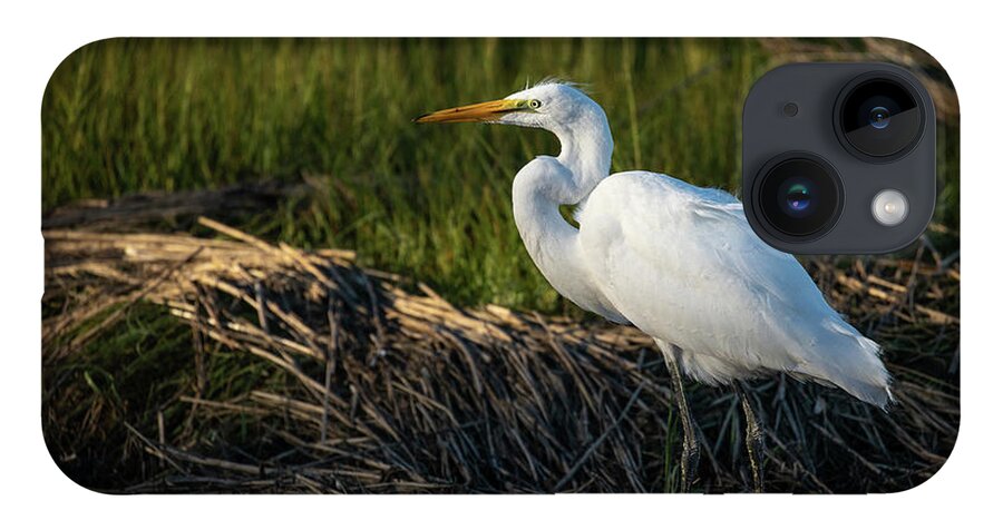 Snowy Egret iPhone 14 Case featuring the photograph Snowy Egret by Denise Kopko