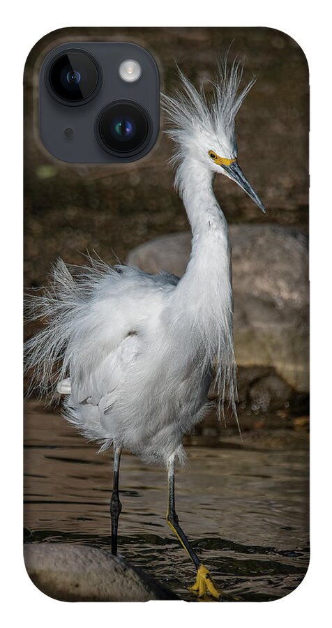 Snowy Egret iPhone 14 Case featuring the photograph Snowy Egret by Rick Mosher