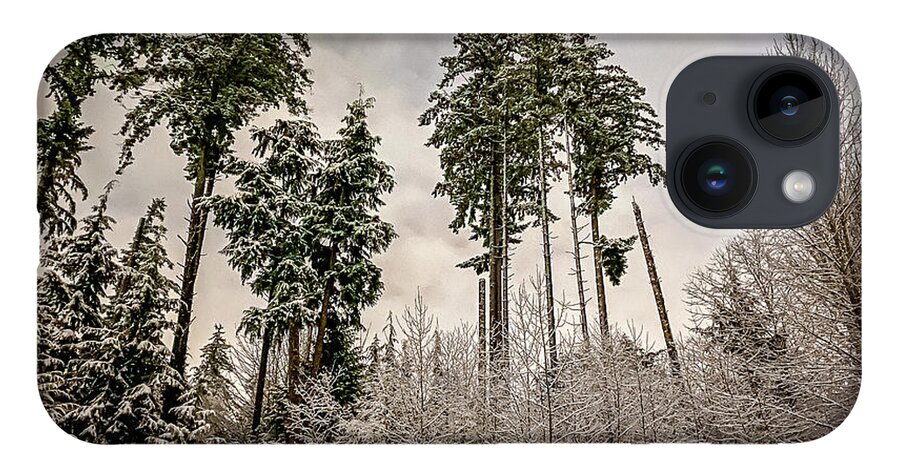 Forest iPhone Case featuring the photograph Snowy Forest by Anamar Pictures
