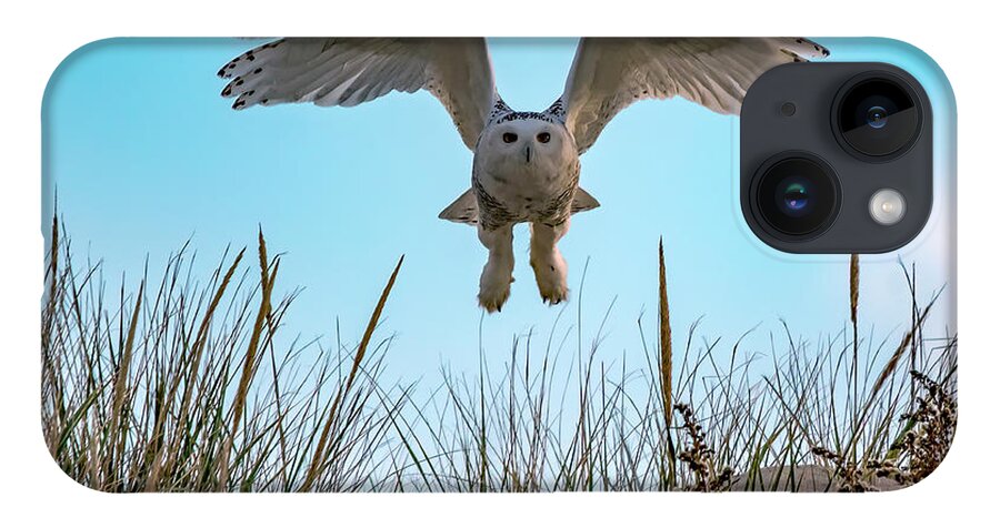 Owl iPhone Case featuring the photograph Snowy Owl In Flight by Cathy Kovarik