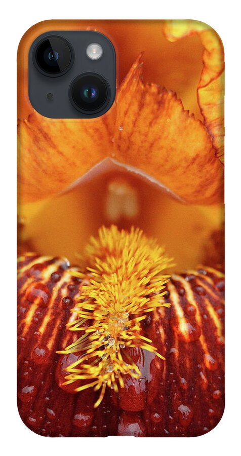 Flower iPhone Case featuring the photograph Soggy Iris by Lens Art Photography By Larry Trager