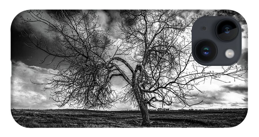 Tree iPhone 14 Case featuring the photograph South Monochrome by Darcy Dietrich