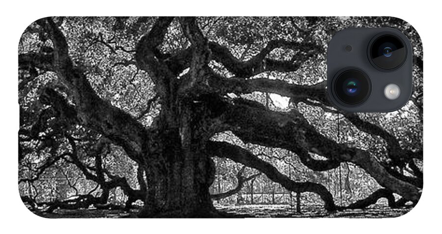 Angel Oak iPhone Case featuring the photograph Southern Angel Oak Tree by Louis Dallara