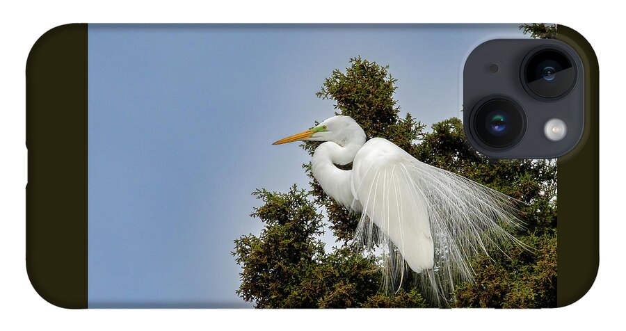 Animals iPhone 14 Case featuring the photograph Spring Egret by Brian Shoemaker