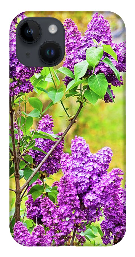 Spring iPhone 14 Case featuring the photograph Spring has arrived by Tatiana Travelways