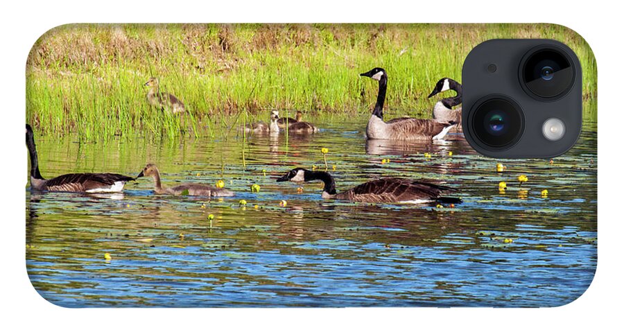 Geese iPhone 14 Case featuring the photograph Springtime At The Pond by Cathy Kovarik