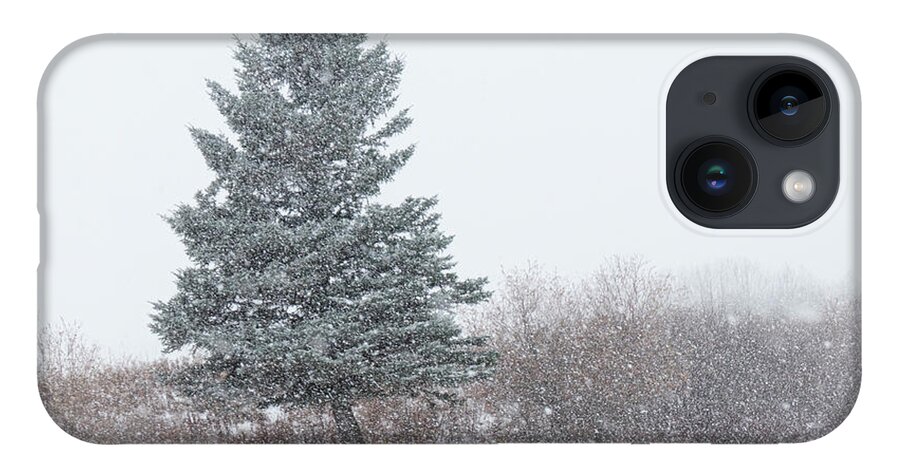 Snow iPhone 14 Case featuring the photograph Spruce tree on a snowy day by Karen Rispin