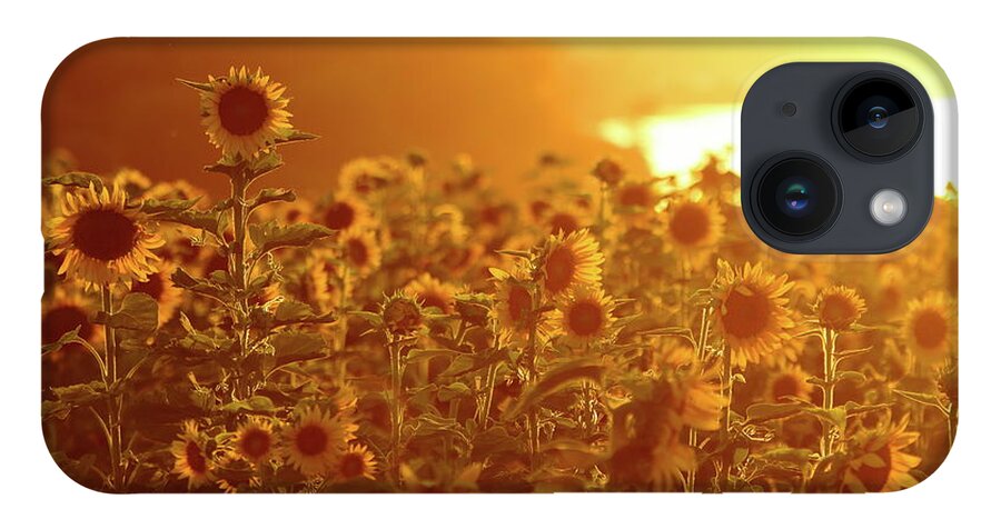 Summer iPhone 14 Case featuring the photograph Stand Above The Crowd by Lens Art Photography By Larry Trager