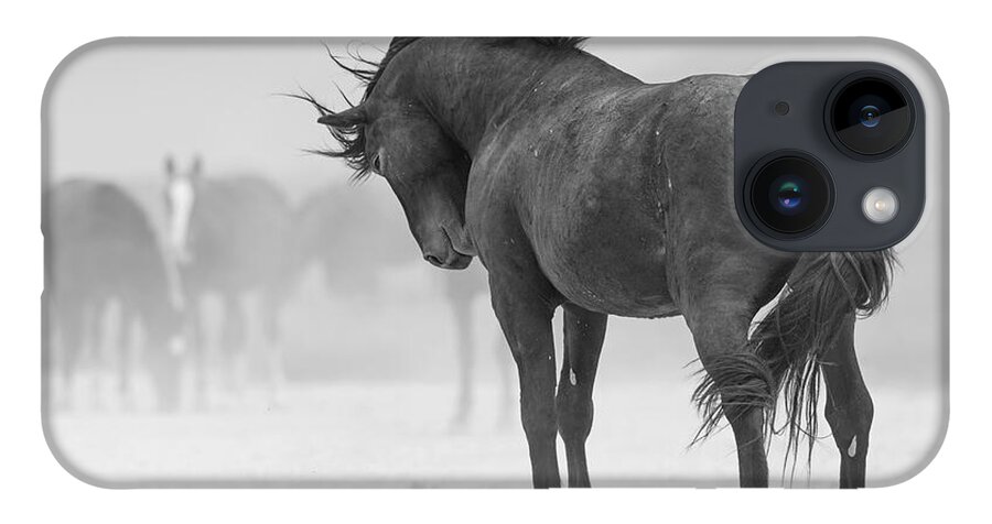 Stallion iPhone 14 Case featuring the photograph Stoic Stallion. by Paul Martin