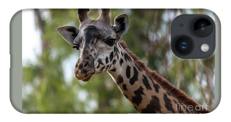San Diego Zoo iPhone Case featuring the photograph Stretching My Neck Out for This Photograph by David Levin