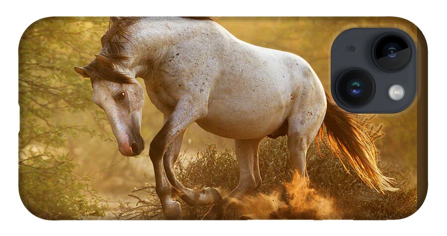 Stallion iPhone 14 Case featuring the photograph Striking Stallion. by Paul Martin