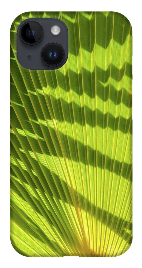 Palm Leaf iPhone Case featuring the photograph Structure of green palm leaf with shadows 2 by Adriana Mueller