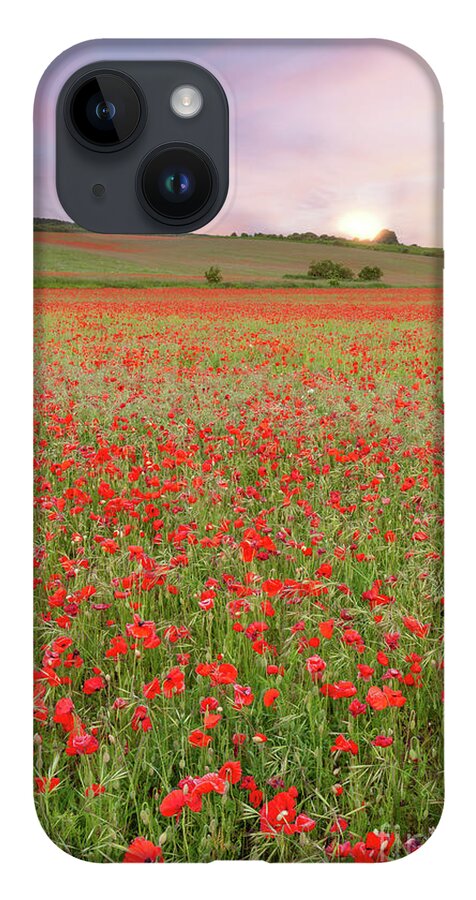 Norfolk iPhone 14 Case featuring the photograph Norfolk poppy fields at sunrise in England by Simon Bratt