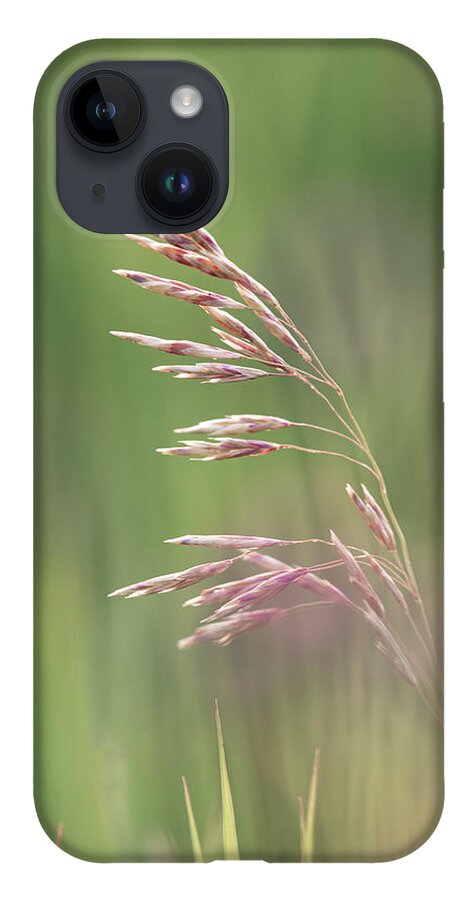 Agriculture iPhone 14 Case featuring the photograph Summer hay seeds by Phil And Karen Rispin