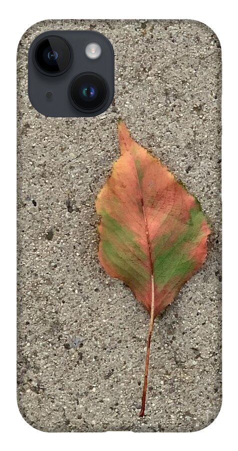 Leaf iPhone 14 Case featuring the photograph Summer Shift by Tiesa Wesen