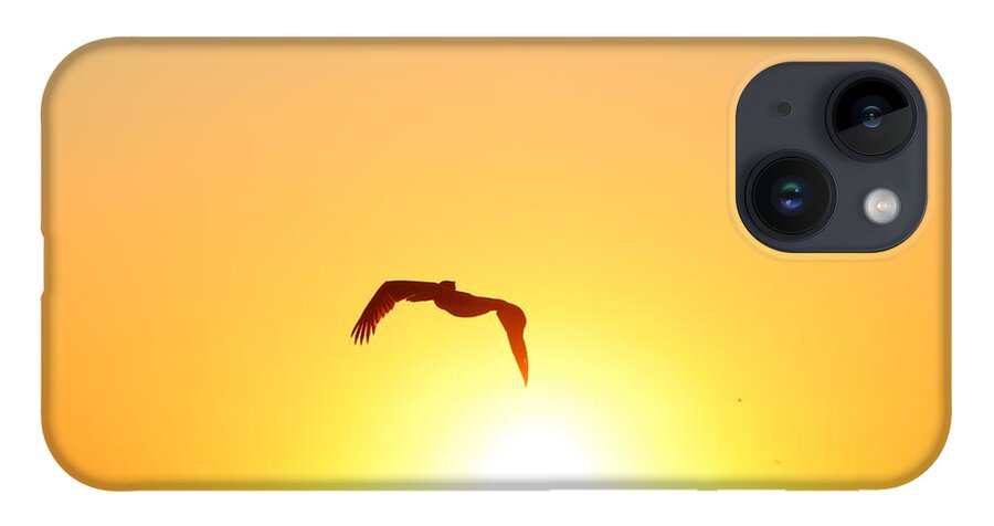 Pelican iPhone 14 Case featuring the photograph Sunbird by Kathleen Illes