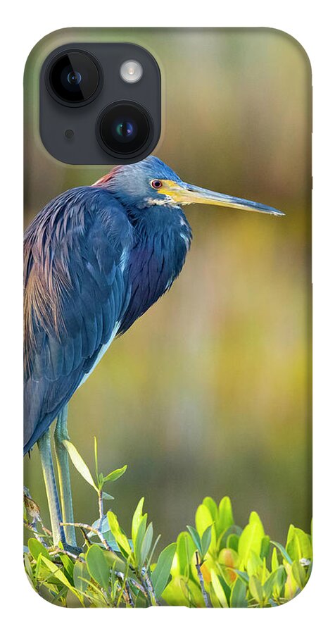 R5-2601 iPhone 14 Case featuring the photograph Sunday morning scout by Gordon Elwell