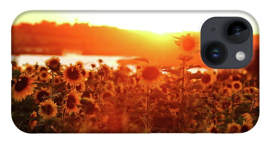 Summer iPhone 14 Case featuring the photograph Sunflower Sunset by Lens Art Photography By Larry Trager