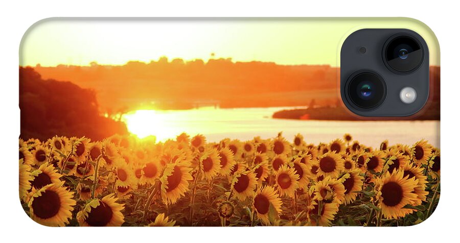 Summer iPhone 14 Case featuring the photograph Sunflowers At Sunset by Lens Art Photography By Larry Trager