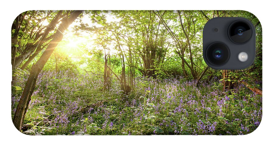 Bluebells iPhone 14 Case featuring the photograph Sunrise streaming through bluebell wood in spring by Simon Bratt