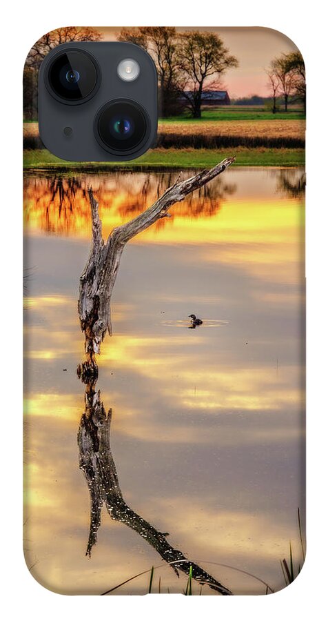 Pond Tree Duck Sunrise Pond Wisconsin Spring Symmetry Golden Countryside Vertical Stoughton Wi Dane County iPhone Case featuring the photograph Sunrise Symmetry - reflected tree and duck on a Wisconsin pond at sunrise by Peter Herman