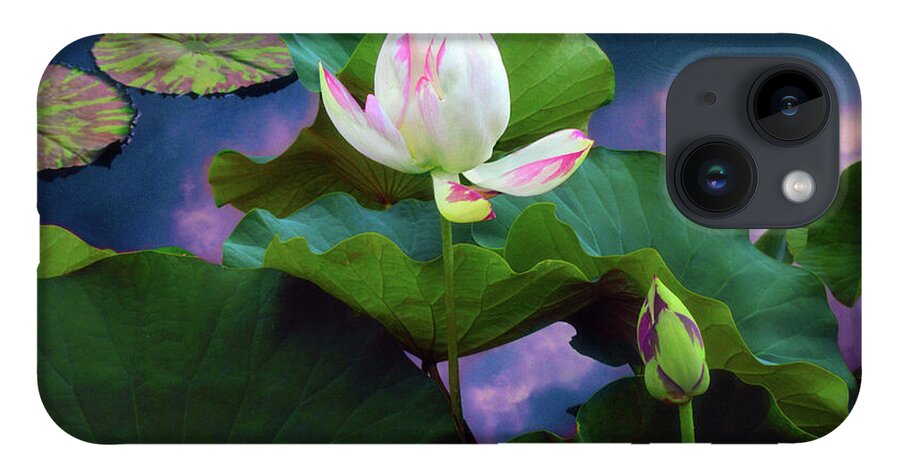 Lotus iPhone 14 Case featuring the photograph Sunset Pond Lotus by Jessica Jenney