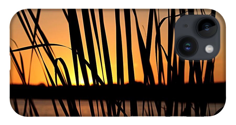 Sunset iPhone 14 Case featuring the photograph Sunset Through the Reeds by Mary Walchuck
