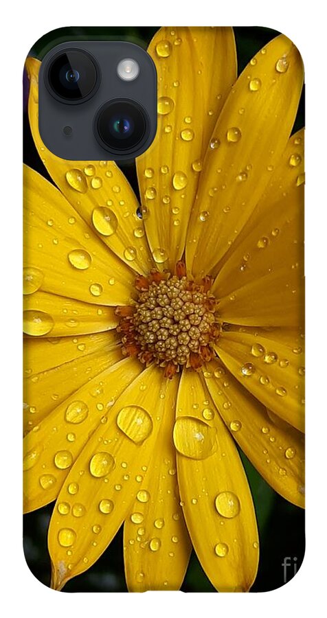Flower iPhone Case featuring the photograph Sunshower by Harvest Moon Photography By Cheryl Ellis
