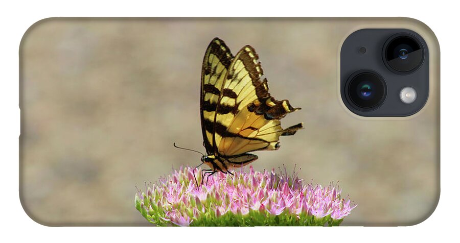 Swallowtail iPhone 14 Case featuring the photograph Swallowtail Butterfly Endures by Christopher Reed